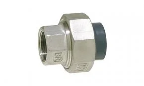 schwarte-shop202607150308081319242