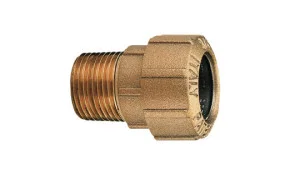 schwarte-shop202607150800151370433